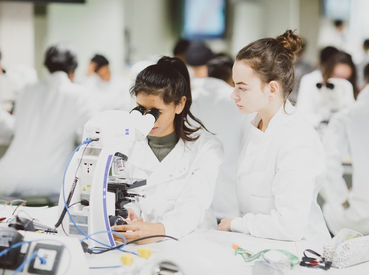 Students in sciences class at the University of Essex