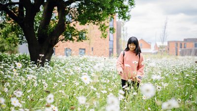 Student walking in a field full of dasies