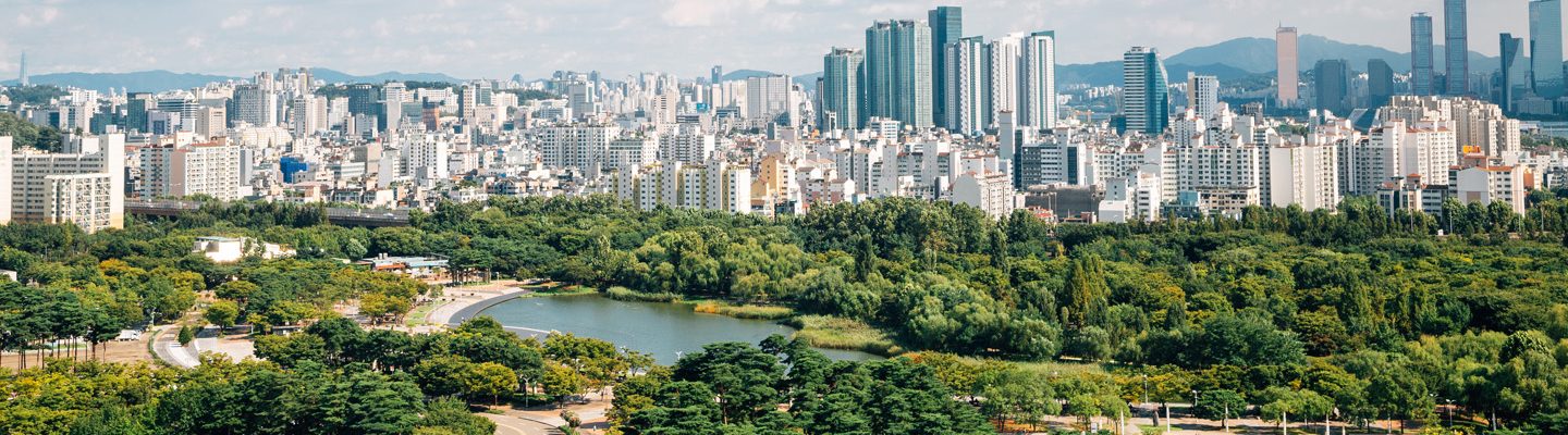 panoramic view of seoul city and green forest