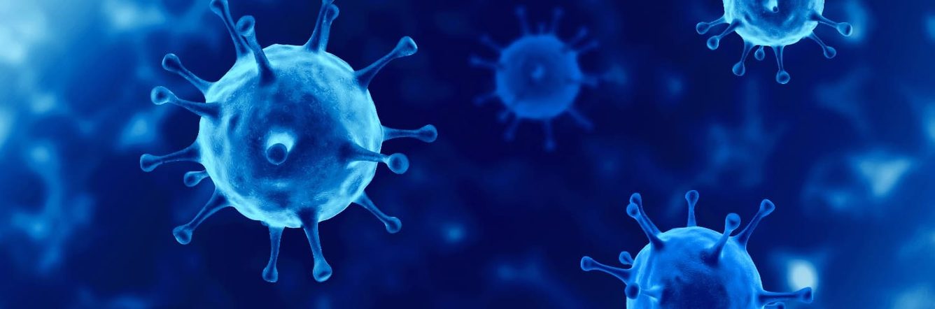 The coronavirus as seen under a microscope, rendered blue