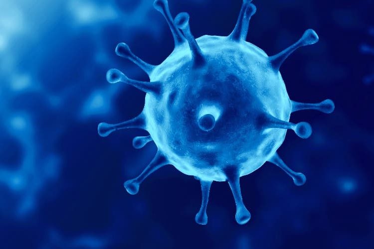 The coronavirus as seen under a microscope, rendered blue