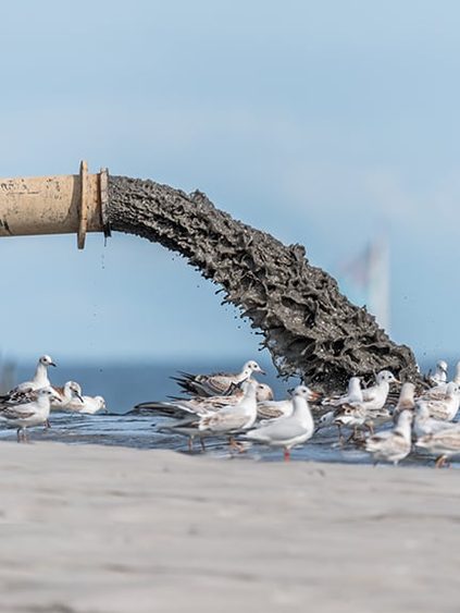 Sea polluted
