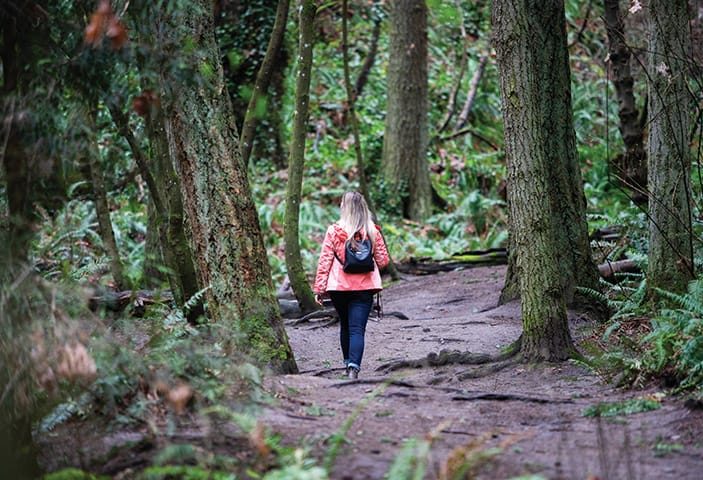 Forest in Victoria, Canada