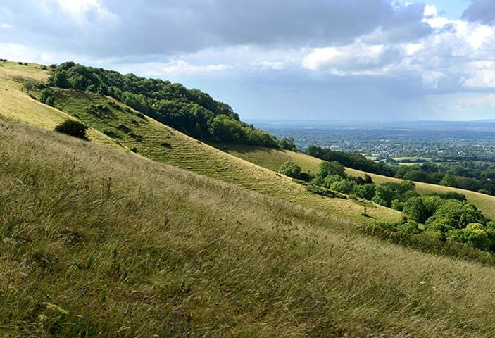 south downs in brighton