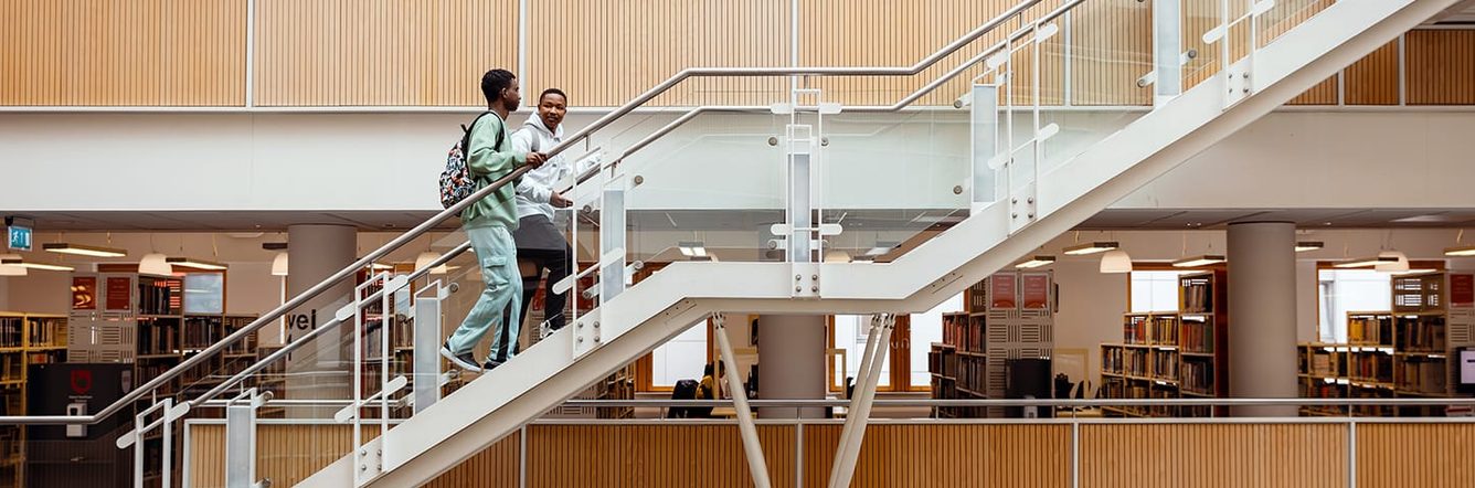 students walking up the staircase