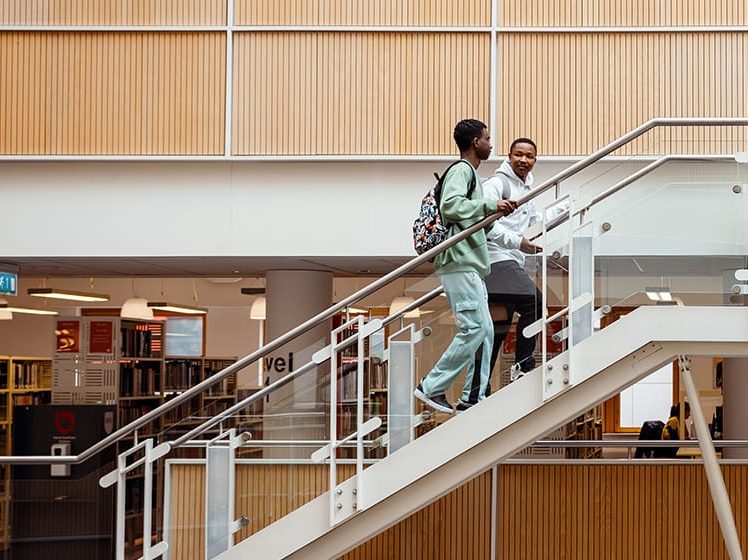 students walking up the staircase