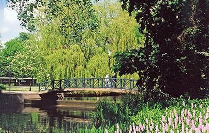 Students walking at the University of York