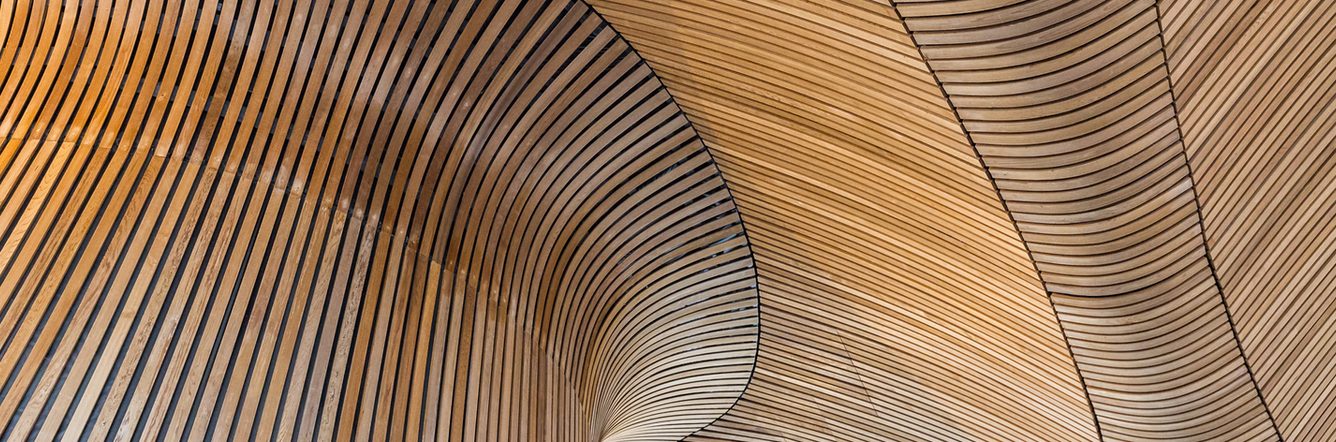 The wooden ceiling of a building