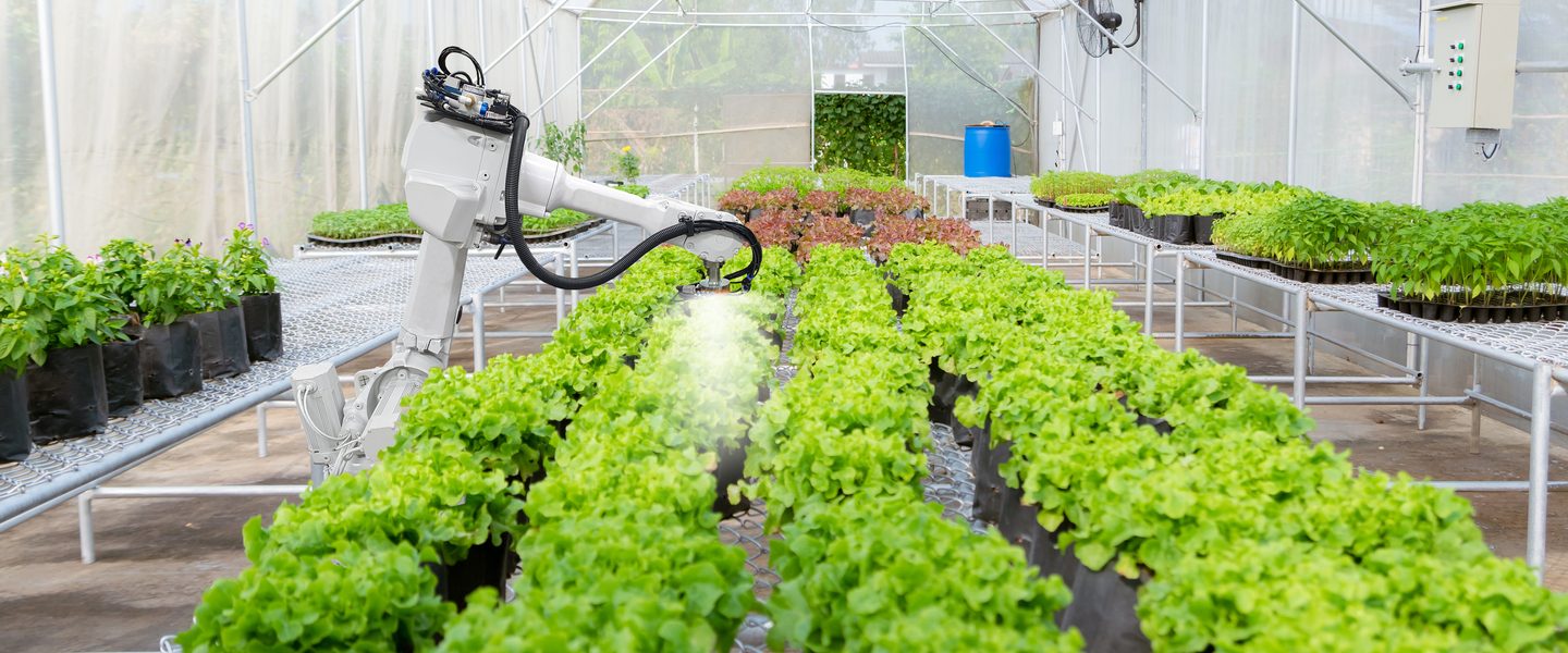Robot watering plants