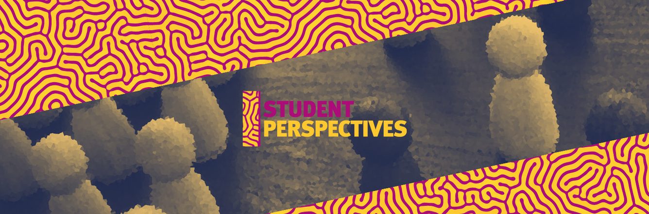 Student's perspective on how inclusion is important