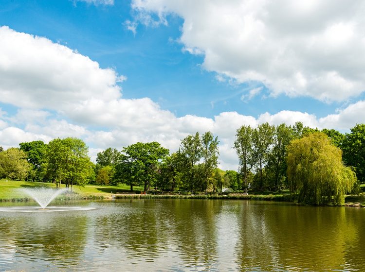 landscape view of Wivenhoe Park within the University of Essex