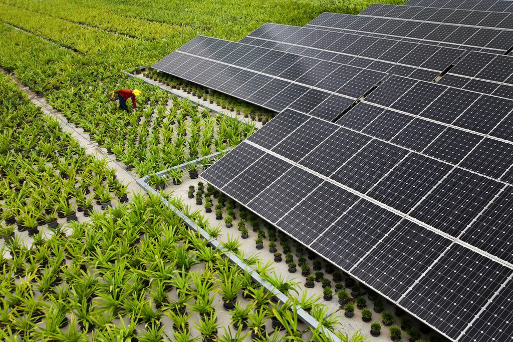 Solar panels in a solar farm