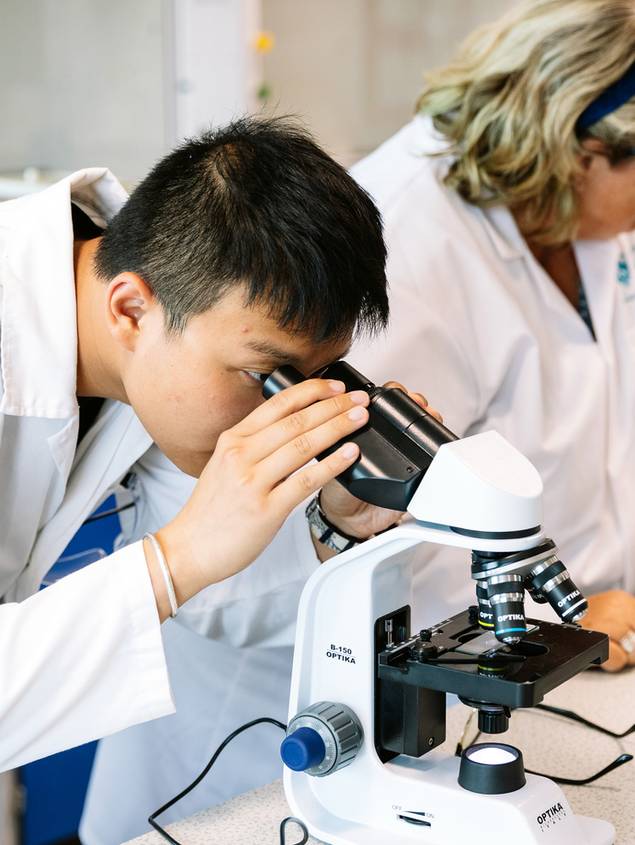 Why study Science? The sciences explained Kaplan Pathways