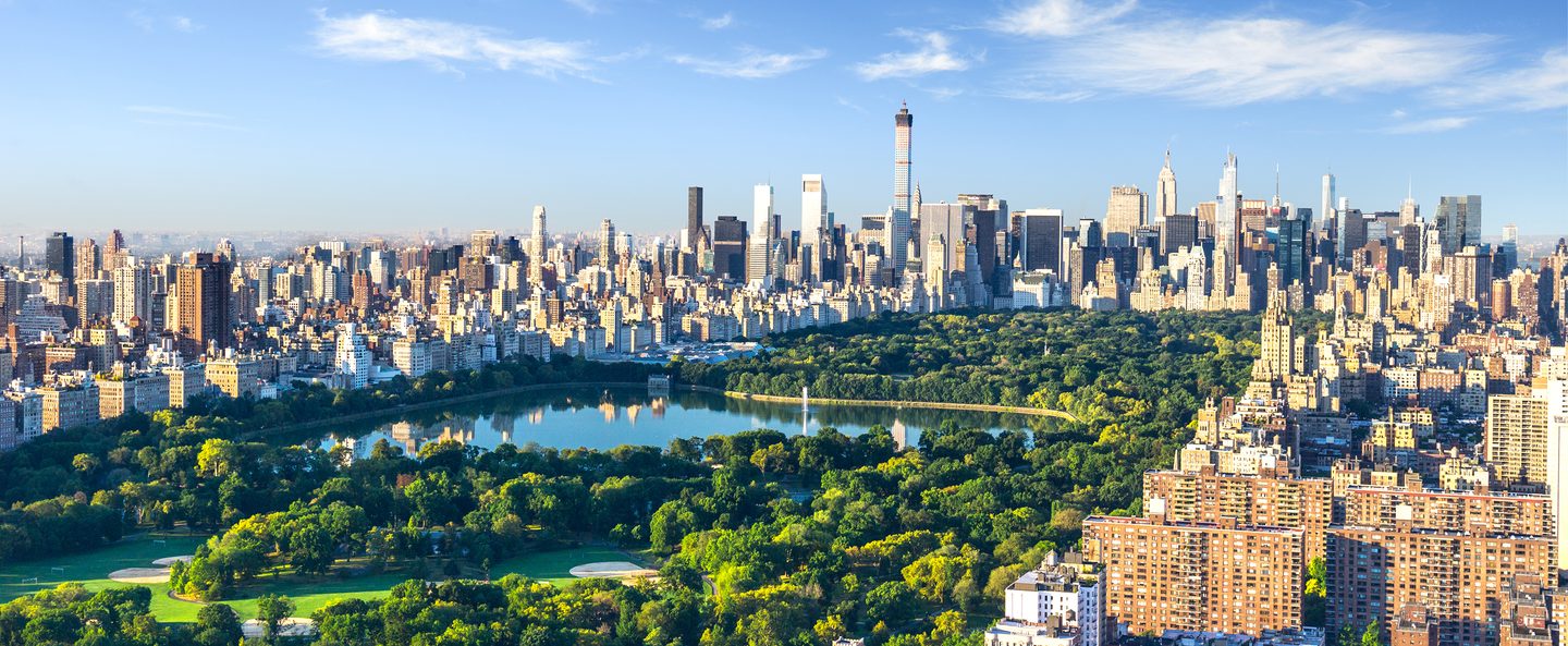 Aerial view of New York's central park