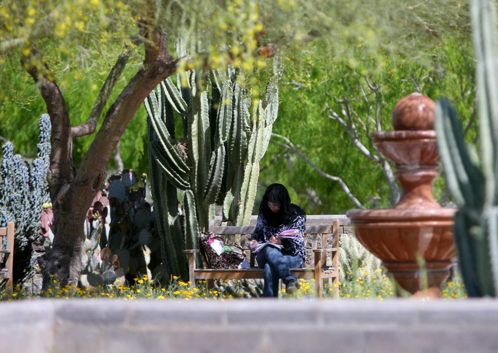 a student reading at ASU Polytechnic campus courtyard