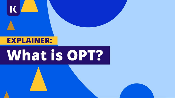 What is OPT?