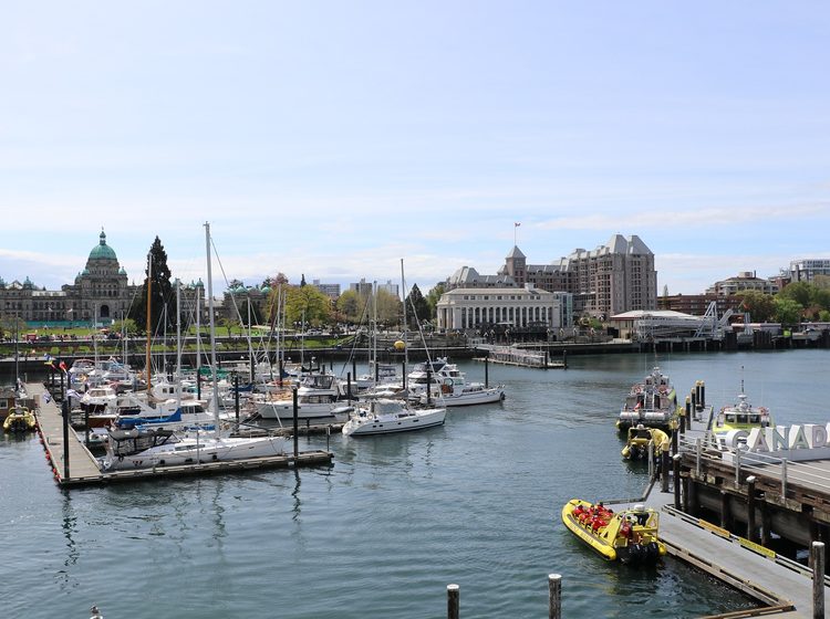 Boats parked in Victoria harbour on a sunny day