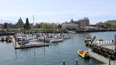 Boats parked in Victoria harbour on a sunny day