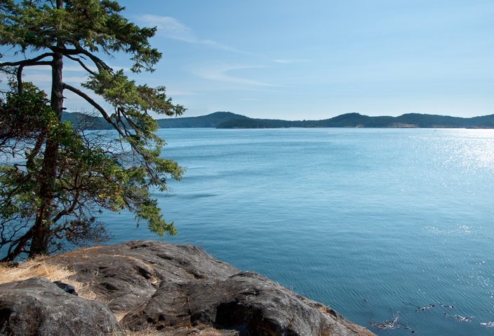 Nature in Victoria, Canada