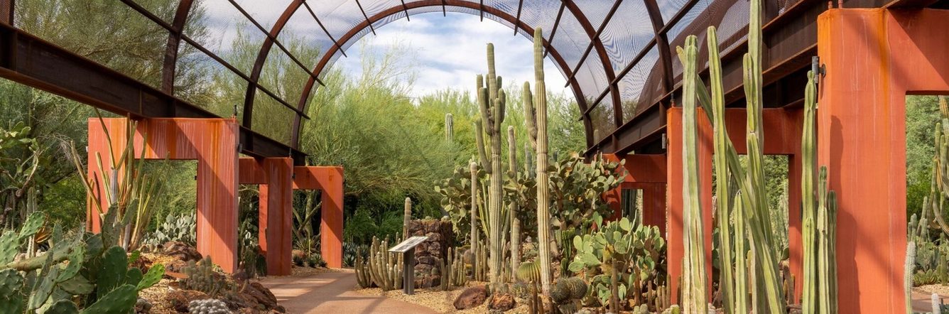 Desert Botanical Garden in Arizona