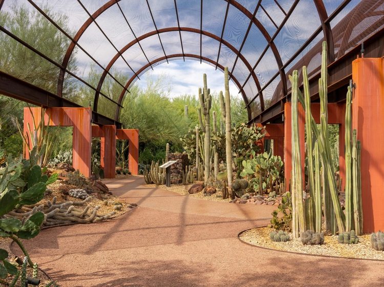 Desert Botanical Garden in Arizona