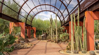 Desert Botanical Garden in Arizona