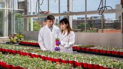 Two students studying at U of A greenhouse
