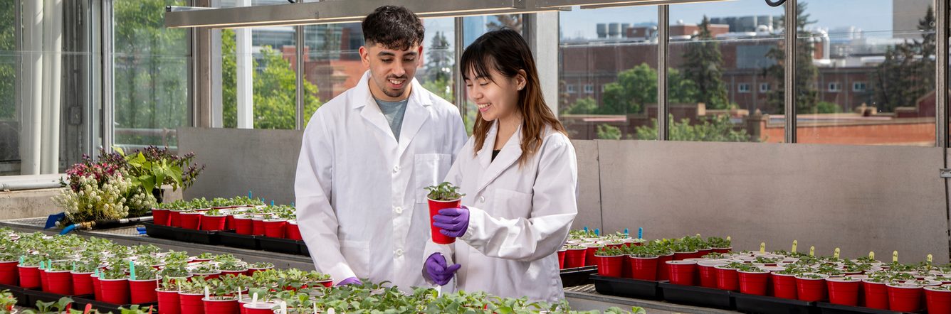 Two students studying at U of A greenhouse