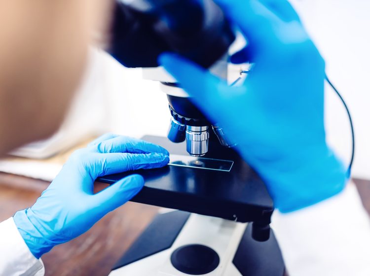 Scientist using a microscope to examine